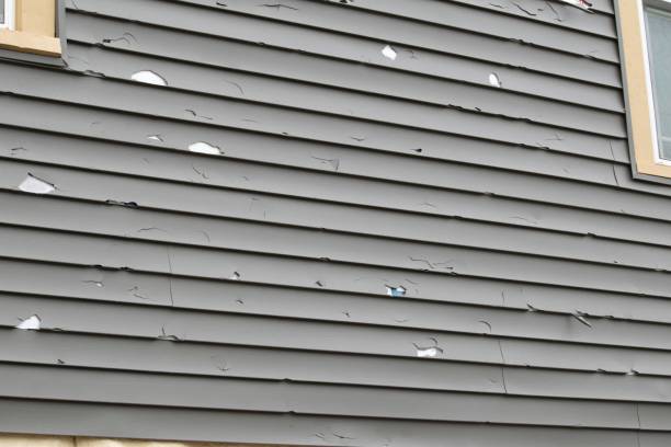 Trusted Columbia, CA Siding Services Experts